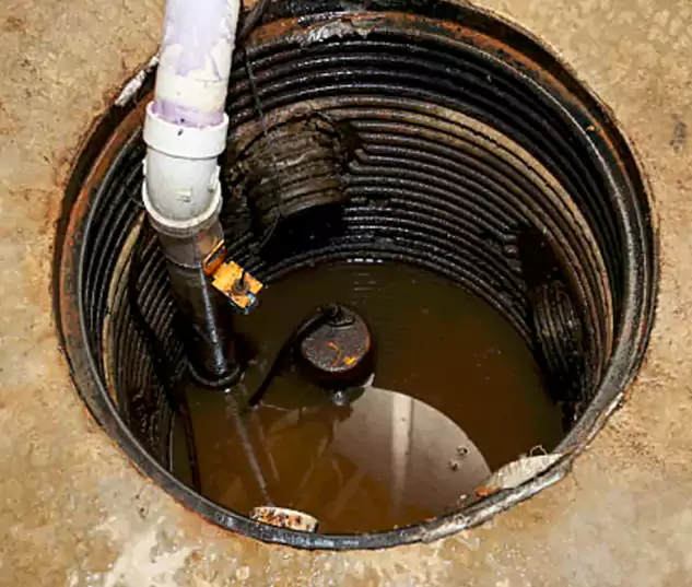 Meet Our Local West Palm Beach, FL Plumbing Team