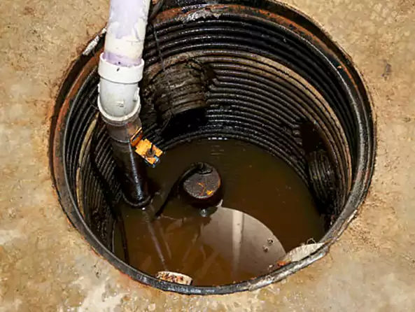 Why Palm Beach Plumbing Pro is the First Choice for Sewage Ejector Pump Maintenance Services in West Palm Beach, FL?