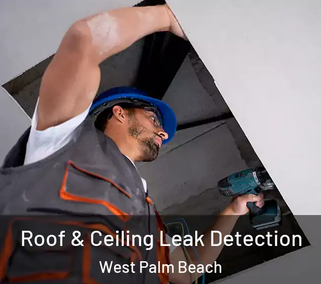  Roof & Ceiling Leak Detection West Palm Beach